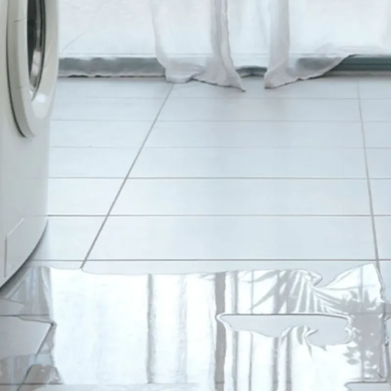 Appliance Leak Cleanup in Woodstock, AL