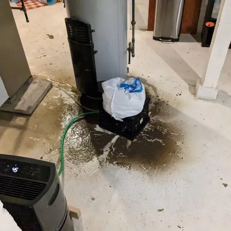 Sewage Backup Cleanup Service in Woodstock, AL